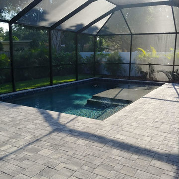 South Tampa Pool Project-1