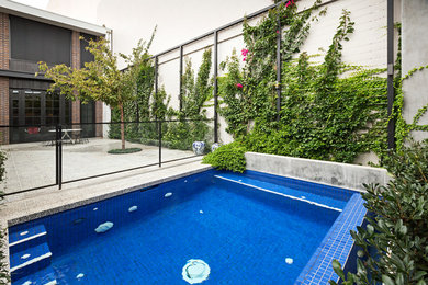 Modelo de piscina moderna pequeña rectangular en patio