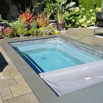 Spa or cocktail pool with auto cover