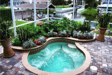 Moderner Pool hinter dem Haus in Tampa
