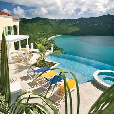 Inspiration for a tropical backyard tile and custom-shaped infinity hot tub remodel in Other