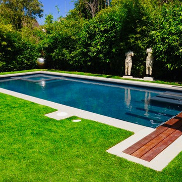 Statuesque Swimming Pool and Spa - Cheviot Hills