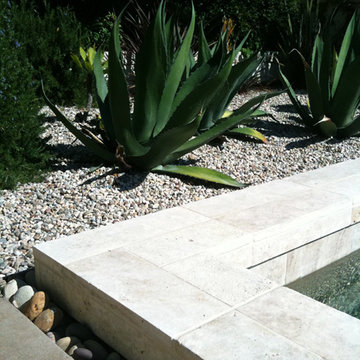 stone pool coping and succulents