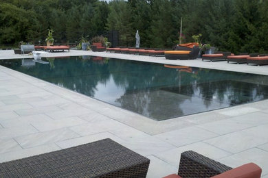 Pool - large contemporary backyard stone and rectangular infinity pool idea in Detroit