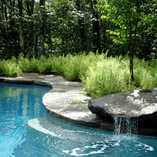 Pool Ideas with Landscaping
