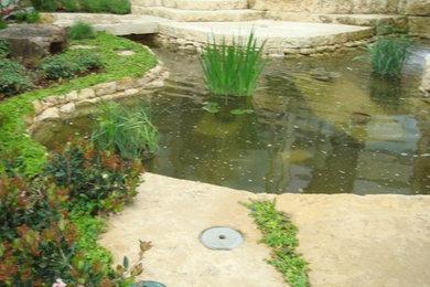 Pool fountain - backyard stone pool fountain idea in Dallas