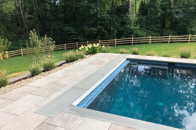 Modelo de piscina natural actual rectangular en patio trasero con paisajismo de piscina y adoquines de piedra natural