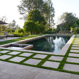 This is an example of a mediterranean rectangular pool in San Diego.