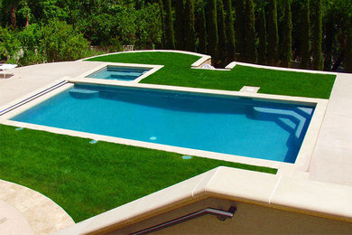 Swan Pools - Swimming Pools Construction Company - Architectural Elegance