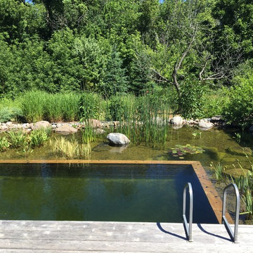 Swim Pond by the River - Caledon, Ontario