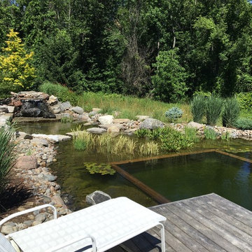 Swim Pond by the River - Caledon, Ontario