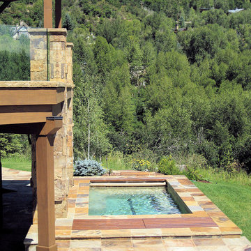 Swim Spa - Aspen, CO