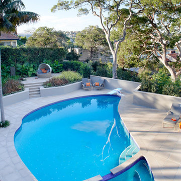 Swimming Pool & Backyard Renovation
