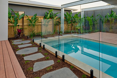 Modelo de piscina minimalista rectangular en patio trasero