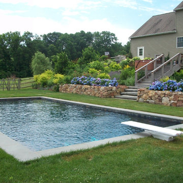 Swimming Pool Garden