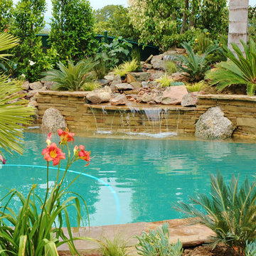 Liste unserer qualitativsten Tropical pool