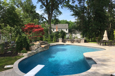 Example of a transitional backyard stone and custom-shaped natural pool design in Other