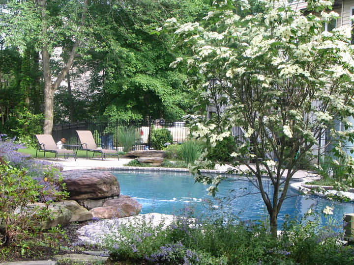 Pool - Natural