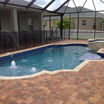 Tampa Traditional Enclosed Pool