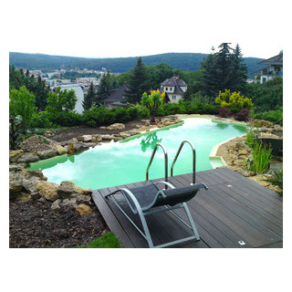 Teiche Contemporary Pool Leipzig by Tara Teich & Garten Houzz