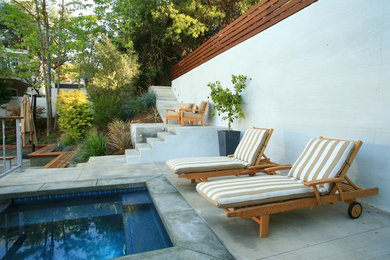 Terraced patio garden with pool