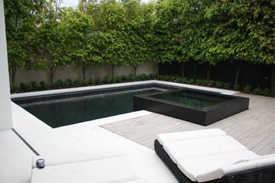 Exemple d'une piscine à débordement et arrière tendance de taille moyenne et rectangle avec une terrasse en bois.