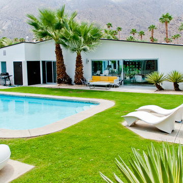 The White House - Palm Springs