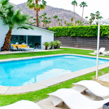 The White House - Palm Springs