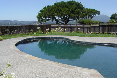 На фото: большой бассейн в форме фасоли на заднем дворе с покрытием из каменной брусчатки с
