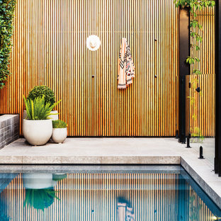 Photo of a contemporary backyard rectangular lap pool in Melbourne.