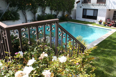 Ejemplo de piscinas y jacuzzis grandes rectangulares en patio trasero