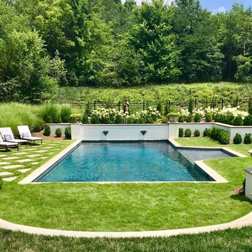 Transitional Garden Pool