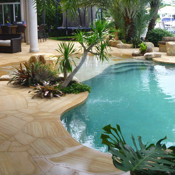 Tropical backyard pool patio in Lighthouse Point Florida