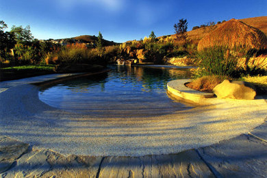 Example of an island style natural pool design in San Francisco