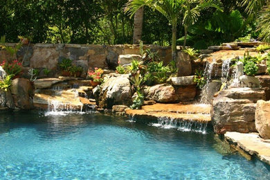 Inspiration for a tropical pool remodel in Tampa