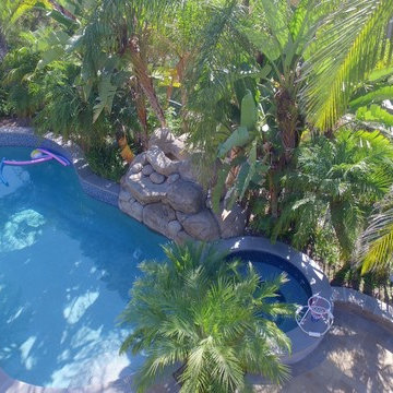 Tropical Pool and Backyard