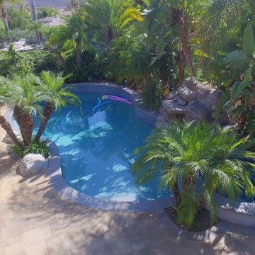 Tropical Pool and Backyard
