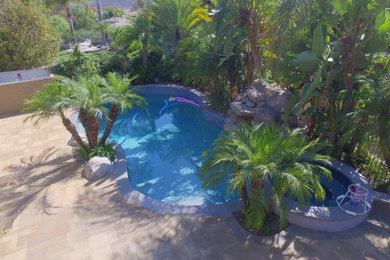 Ejemplo de piscina tropical grande tipo riñón en patio trasero con adoquines de hormigón