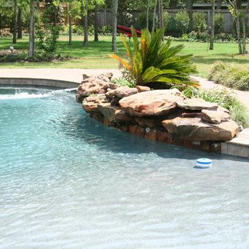 Tropical Pool | Craddock Residence