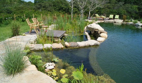 Secrets of a Successful Water Garden