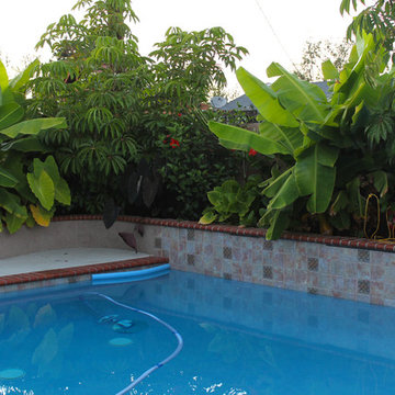 Tropical Pool Garden