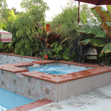 Tropical Pool Garden