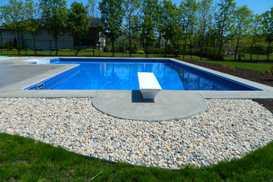 Modelo de piscina natural de tamaño medio en forma de L en patio trasero con losas de hormigón