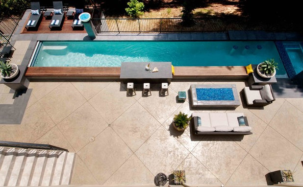 Contemporary Swimming Pool by Tom Ralston Concrete