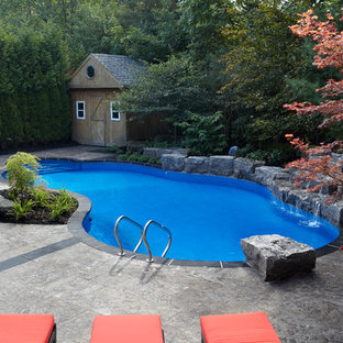 Large contemporary backyard custom-shaped natural pool in Toronto with a water feature and stamped concrete.