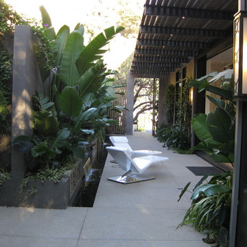Ultra modern pool & water feature in Hollywood Hills, California
