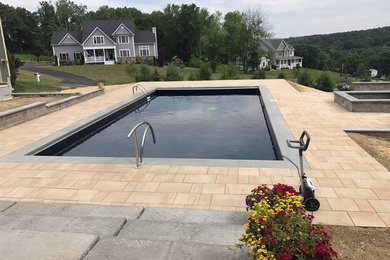 Ejemplo de piscina natural actual rectangular en patio trasero con paisajismo de piscina y adoquines de piedra natural