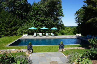 Modelo de piscina alargada moderna grande rectangular en patio trasero con adoquines de piedra natural