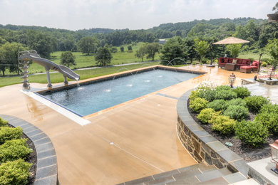 Imagen de piscina actual grande rectangular en patio trasero
