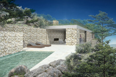 Modelo de piscina natural actual de tamaño medio rectangular en patio lateral con adoquines de piedra natural
